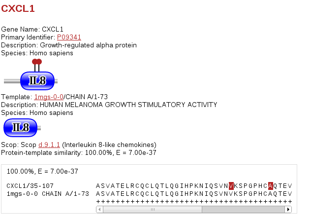 help structure protein info